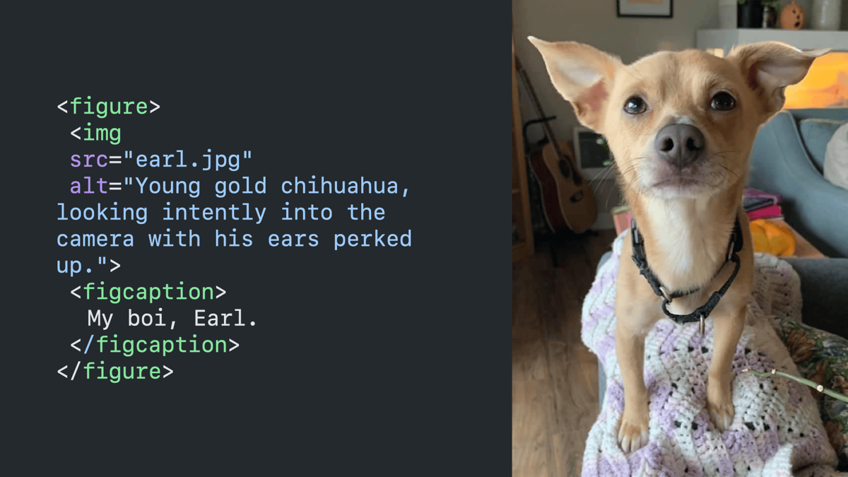 Code block paired with a photo of a dog that it is describing. It shows a figure tag with a figcaption that reads “my boi, Earl,” and an image tag with an alt attribute that reads “young gold chihuahua, looking intently into the camera with his ears perked up.”