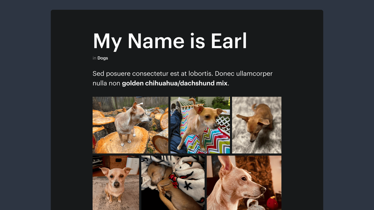 Mock photo gallery with the title “My Name is Earl.” It shows a description of the dog that is featured in all of the gallery images with highlighted text that reads “golden chihuahua/dachshund mix.”