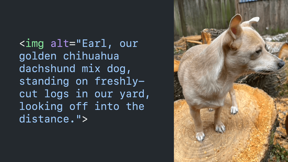 Code block paired with an image of a dog that it’s describing with alt text that reads “Earl, our golden chihuahua mix dog, standing on freshly-cut logs in our yard, looking off into the distance.”
