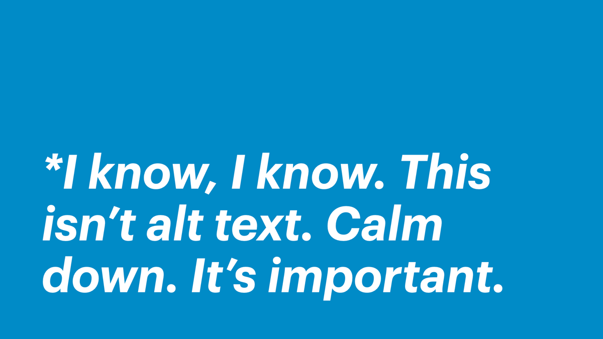 *I know, I know. This isn’t alt text. Calm down. It’s important.